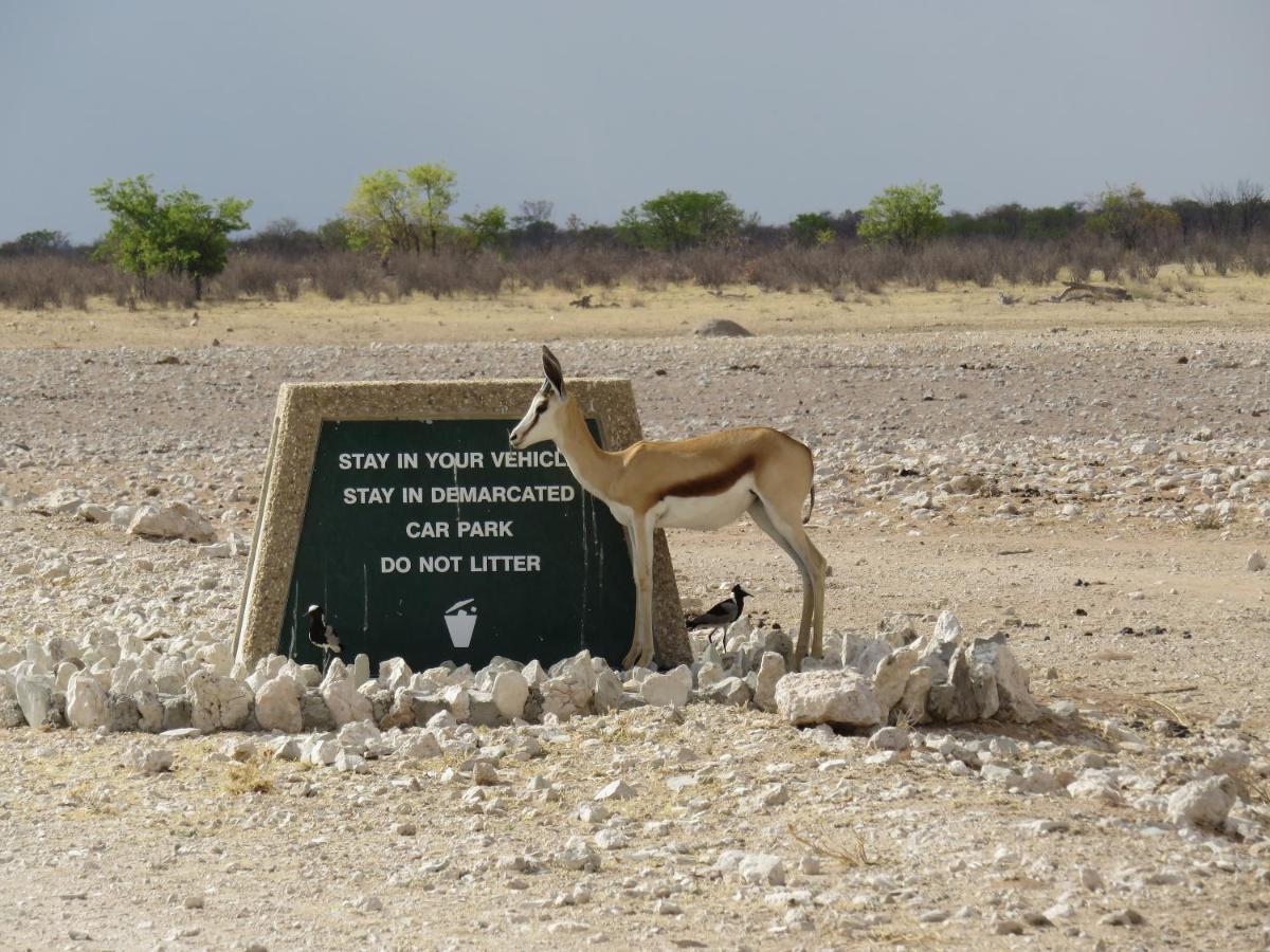 Etosha Safari Campsite Exterior foto